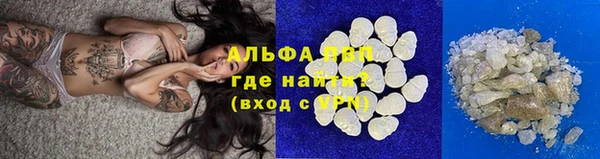 молекула духа Арсеньев