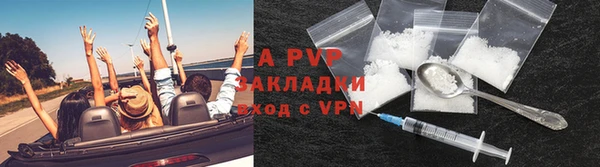 молекула духа Арсеньев