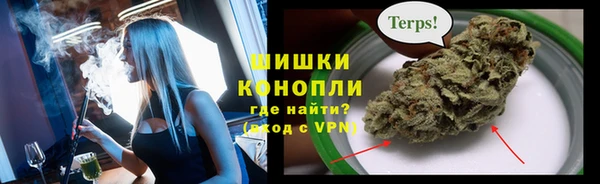 молекула духа Арсеньев