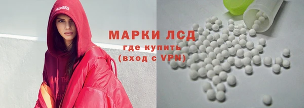 молекула духа Арсеньев