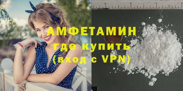 молекула духа Арсеньев