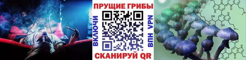 Псилоцибиновые грибы Magic Shrooms  Осташков 